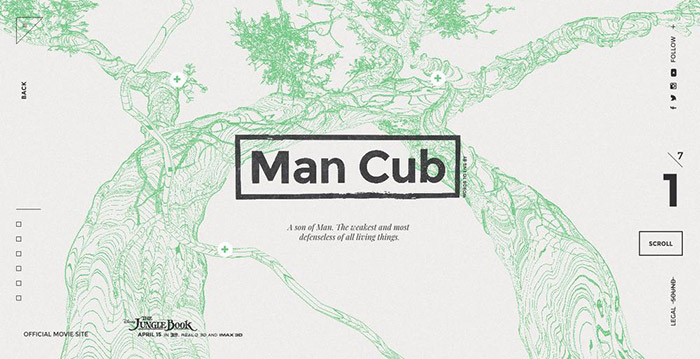 高端網站設計案例3