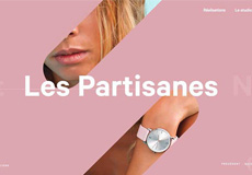 來自 Minneapolis 的高端網站設計配色方案，震撼你的視覺觀