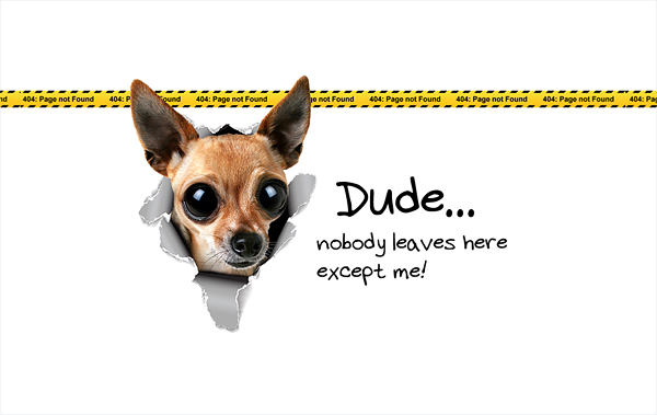 北京網(wǎng)站設(shè)計(jì)的404錯(cuò)誤頁面